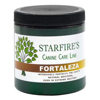 Fortaleza treatment