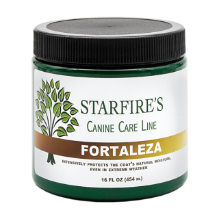 Fortaleza treatment