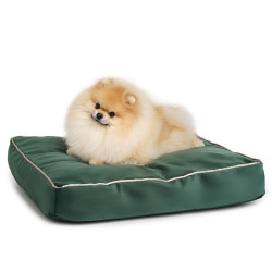 Soft & squashy Starfire's Luxury dark green rectangular bed for dogs